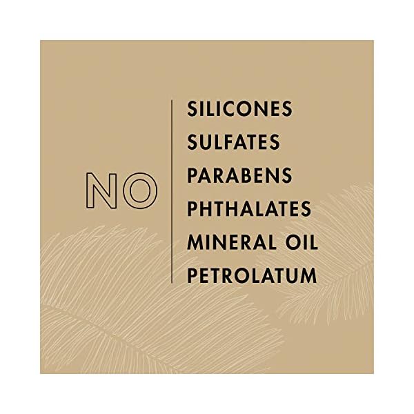 Sheamoisture-Conditioner-for-Curly-Hair-Red-Palm-Oil-and-Cocoa-Butter-with-Flaxseed-Oil-13-oz Sheamoisture Conditioner for Curly Hair Red Palm Oil and Cocoa Butter with Flaxseed Oil 13 oz