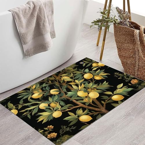 Paillasson attrape poussière 50x80cm tapis de sol lavable citronnier - 5