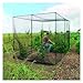 Solid Bird Netting -Black Garden Nets Balcony Bird Net Garden Fence and Crops Protective Fencing Mesh Anti Bird Deer Cat Dog(2mx15m,9 Strands-2cm Cell)