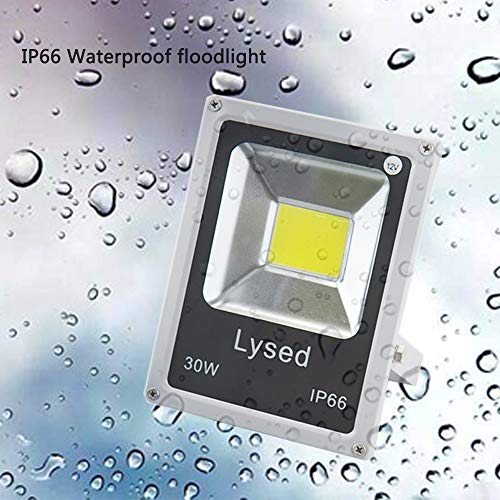 Lysed 12 Volt Flood Light Bowfishing Lights 30W Low Voltage Flood Lights Outdoor Ip66 Waterproof (White Light 2Pack) #TOP2
