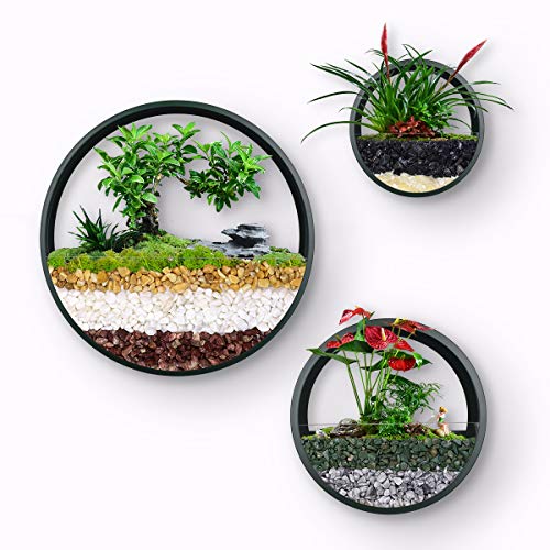 Ecosides Macetas Colgantes Pared Modernas,Ronda Metal Maceta para Flores con Soporte Extraíble para Sala de Estar,Balcón,Jardín Montaje de Pared Macetero Plantador con Orificio de Drenaje