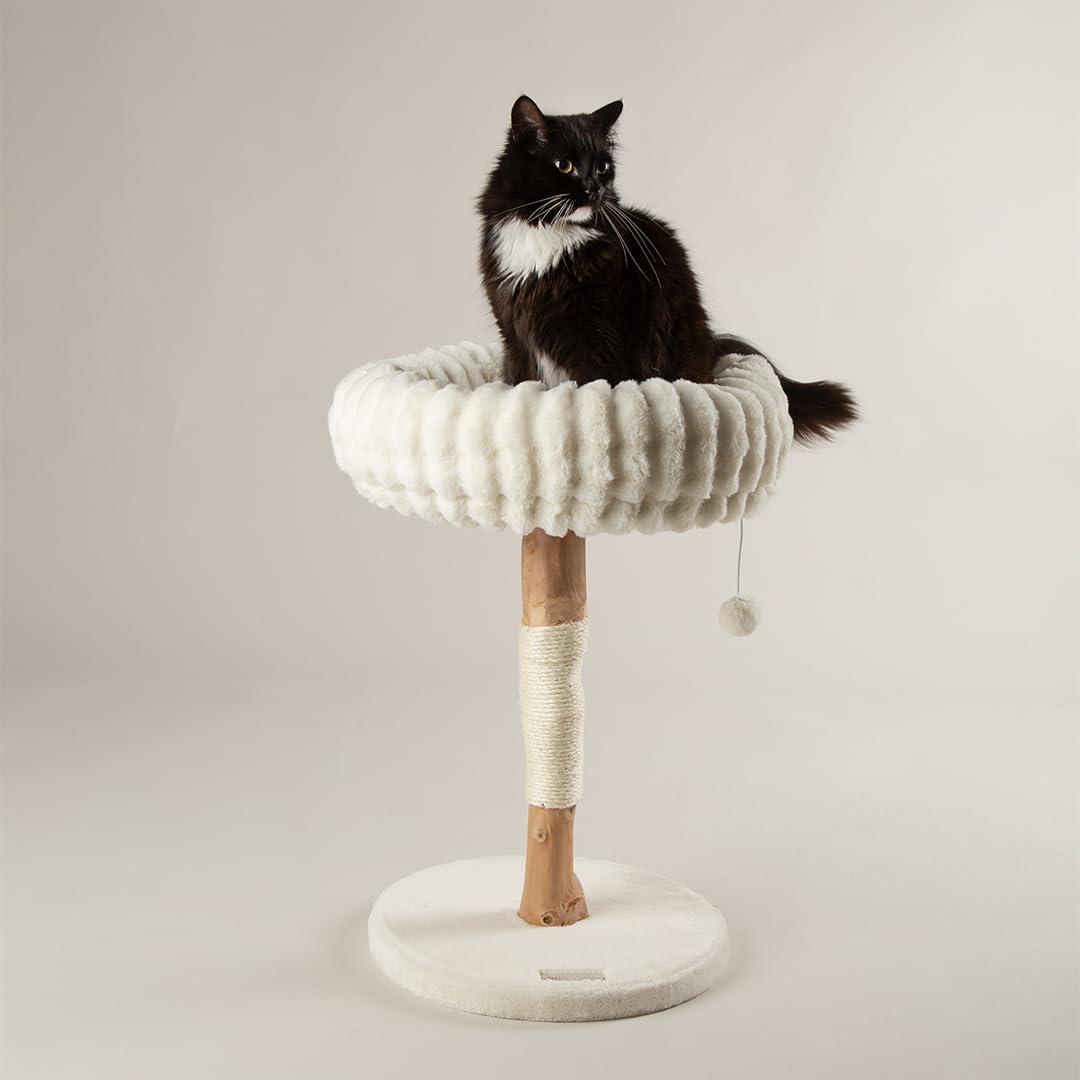 Julian Charles Cream Scruffs Appalachians Cat Scratching Tree - One Size