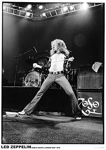 Affiche Robert Plant Led Zeppelin Cadeau Idéal pour Collectionneur Rock 1975