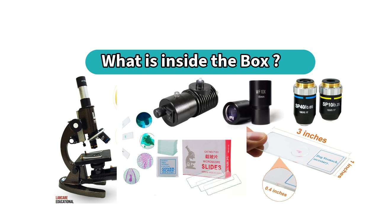 LABCARE EXPORT Black Compound Student Microscope With 10X & 45X Objective and 10X & 15X EYEPIECE ISO 9001:2015 CERTIFIED,GOVT. APPROVED BRAND - Image 5 thumbnail