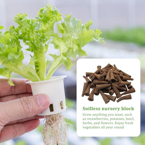 INNAL 50 Stück Wachstumsschwämme,Wachstumsschwämme Hydroponic,Ersatz-Zuchtschwämme,Hydroponische Anzuchtsysteme Kit,Hydroponisches Anzuchtsystem,Starterstecker für Samen oder Stecklinge