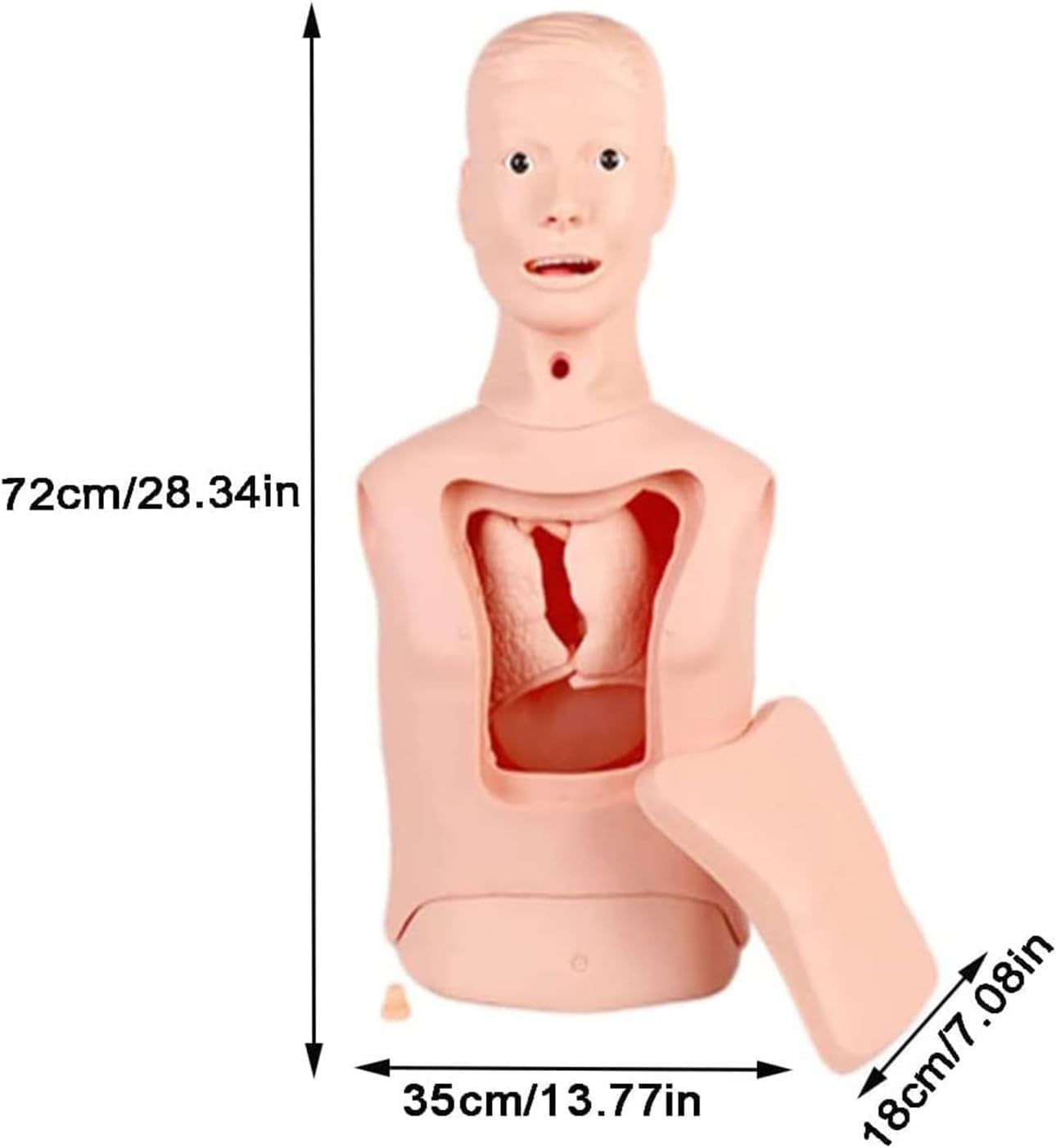 Manichino per l'intubazione gastrica, tubo nasogastrico e gestione delle vie aeree, aiuto didattico per infermieri e studenti di medicina