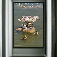 Framed Canvas Wall Art Single Bird Birds Expressive Farmhouse/Country Multicolor Photography Portrait Single - 16x24 inches