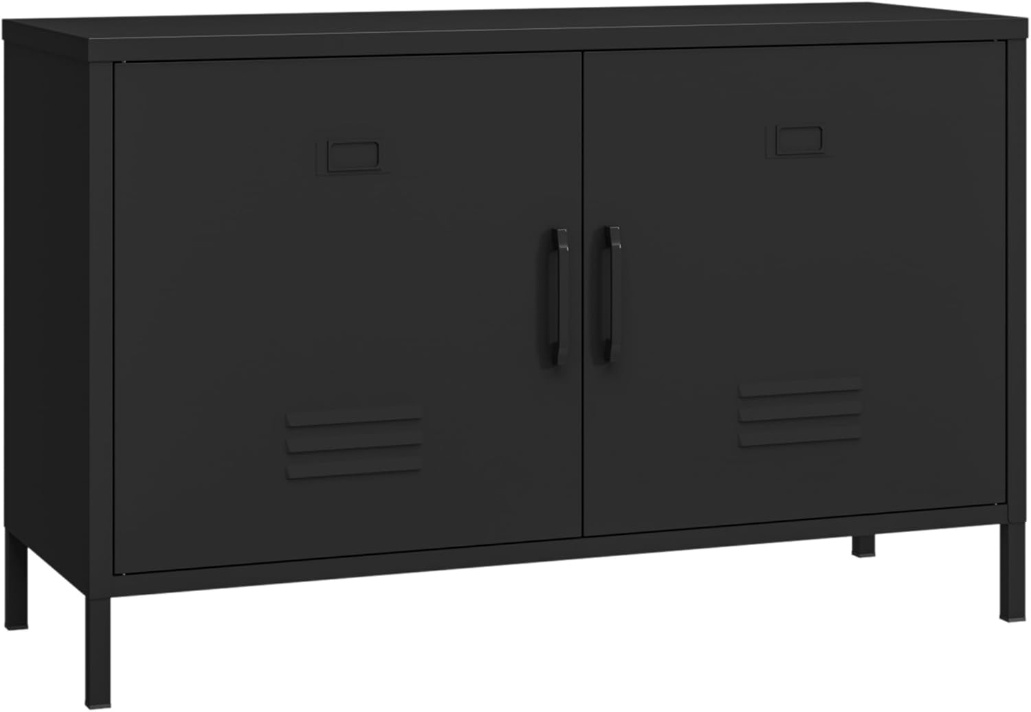 2 Door Metal Accent Cabinet,Black Metal Storage Cabinet with Adjustable Shelf,2-Tier Office Cabinet,Multipurpose Metal Locker Storage Cabinet for Office Home,Music Studio