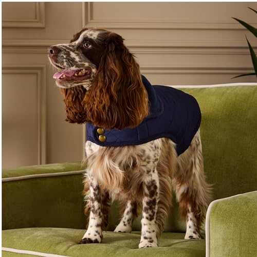 Rosewood Joules Herrenmantel, Rosewood Joules Hundemantel, gesteppt, Marineblau, Größe L