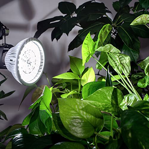 Haus Bright Smart Led Grow Light Bulb - Dimmable Warm, Cool & Daylight | Schedule & Timer | Full Spectrum Grow Lights Indoor Plants | Grow Lamp | E26/27 | 20W With 288 Ppfd #TOP7