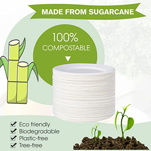 Ecolipak 200 Pack Compostable Paper Plates, 6 Inch Paper Plates Uncoated, Biodegradable Eco-Friendly Sugarcane Plates, Perfect For Sandwich, Cake, And Dessert #TOP2