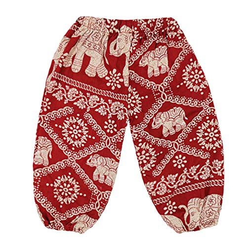 Image of Rysly Baby Girls Boho Elephant Tops Harem Pants 2 Piece Outfits