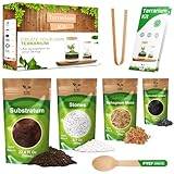 PYEF CRAFTS DIY Terrarium Kit for Plants β Build a SelfβSustaining Closed Ecosystem β Supplies for Up toβ―68 ozβ―(1β2β―Liter) Glass Jar β Succulents, Airβ―Plantsβ―(Tillandsia), Fern β Jar Not Included