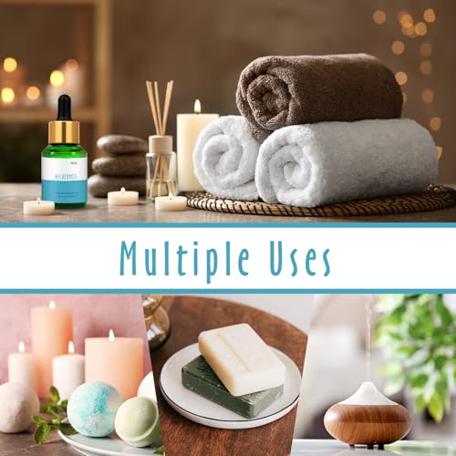 Image of Wilderness Fragrance Oil, MitFlor 30ml Diffuser Essential Oil, Premium Grade Fragrance Oil for Soap Candle Making Refreshing Woody Scent, Men's Perfume Cologne Oil