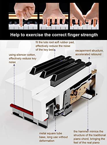 Piano numérique à 88 touches avec clavier à action pondérée et graduée avec support de meuble, banc USB/MIDI Home Piano électrique for débutant et professionnel (Color : White) - Les Beatles, Paul McCartney, John Lennon, RIngo Starr, George Harrison Piano numérique à 88 touches avec clavier à action pondérée et graduée avec support de meuble, banc USB/MIDI Home Piano électrique for débutant et professionnel (Color : White) – Image 4