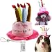 Bro'Bear Dog Birthday Hat with Cake & Candles Design Party Costume Accessory Headwear Pink (One Size Fits Most)