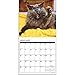 Bad Kitties 2017 Wall Calendar