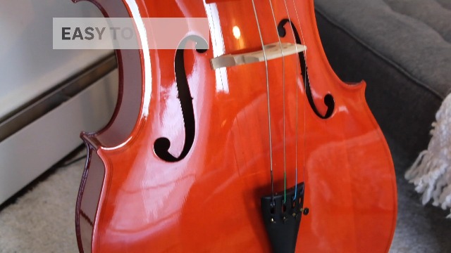 Amazon.com: Cecilio Violonchelo 4/4 de tamaño completo