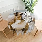 Scène applicable : convient pour un usage décoratif ou fonctionnel (cafés, dîners, brunchs, buffets, pique-niques, mariages, fêtes, etc.). Pour toutes les salles à manger intérieures et extérieures, ainsi que pour toutes les tables rondes (tables basses, tables à manger, tables de ferme, etc.)