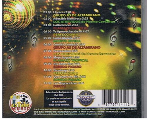 Miniatura 2 de Al Ritmo de la Cumbia Vol. 4