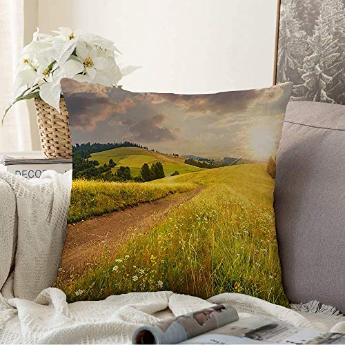 ClimAir Car Comfort Deflettori d'Aria Compatibile