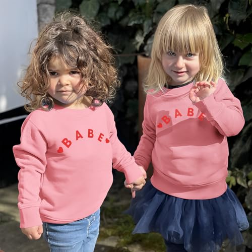 Toddler Baby Girl Crewneck Sweatshirt Love Babe Letter Long Sleeve Pullover Shirt Cute Spring Casual Clothes Top3