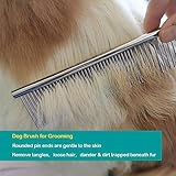 Redreo Hundekämme Haustier Stahlkamm Haustier Kamm Edelstahl Haustierpflege Kamm zum Entfernen von Verwicklungen und Knoten, Pudelpflege Deshedding Tool