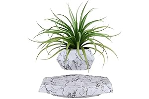 Levitating Plant Pot: Enchanting Décor for Greenery Lovers