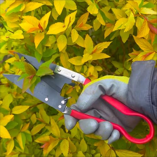 Tijeras Compactas Spear & Jackson para Topiaria y Bonsái miniatura 6