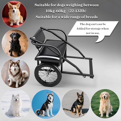 DWZL Hundezugwagen mit Sitz und abnehmbarem Anhänger - Für Hunde von 10 bis 60 kg (22 bis 132 lb) - Mit Zuggurt, 14 Zoll (36 cm) All-Terrain-Reifen + Fußbremse(Size:Dog Weight 40-60kg)