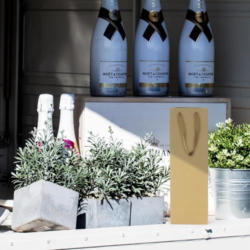 Bolsas de regalo de vino a granel con asas, ideales para fiestas y celebraciones (20 uds) 6
