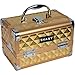 SHANY Chic Makeup Train Case Cosmetic Box Portable Makeup Case Cosmetics Beauty Organizer Jewelry storage with Locks, Multi trays Makeup Storage Box with Makeup Mirror - Golden House