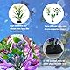 FloraMolly 3Pcs Kleine Aquarium Pflanzen, Realistische Fischtank Pflanzen Künstliche Gefälschte Fischtank Dekorationen Pflanzen-Grün