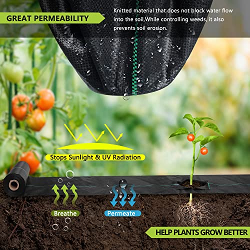 Tierra Y Fertilizantes, Sports Imagen adicional