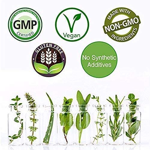 Rejuvenation Therapeutics Fisetin + Vitamin D3 Value Pack #TOP4