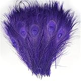 LUORNG 12PCS Peacock Feathers for DIY Craft Hat Decoration, Purple