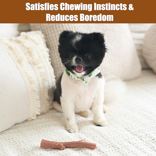 SPOT Bam-Bones Plus Branch -Bamboo Fiber & Nylon, Durable Long Lasting Dog Chew for Aggressive Chewers – Great Toy for Adult Dogs & Teething Puppies Under 60lbs, Non-Splintering, 5.75in, Beef Flavor