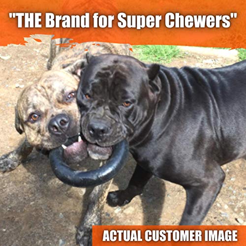 Ultra-Durable Chew Toy - Lifetime Replacement Guarantee - Tested & Approved by Large Breeds & Aggressive Chewers - Strong, Durable, Tough, Interactive Natural Rubber Dog Toy for Super Chewers - Thumbnail 3