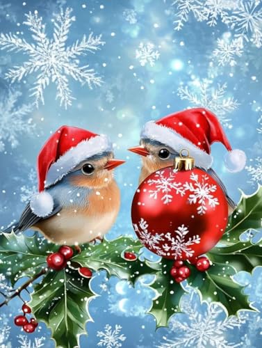 Peinture numero adulte oiseau neige toile peinture acrylique debutants