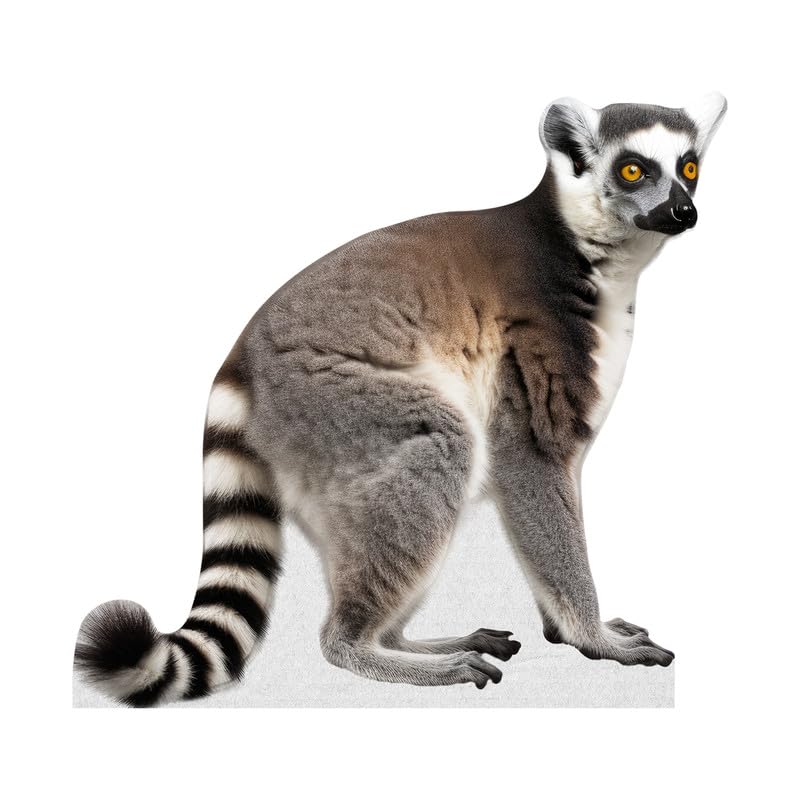 Lemur - Life Size Cardboard Cutout Standup People with Support Standee | Animals -