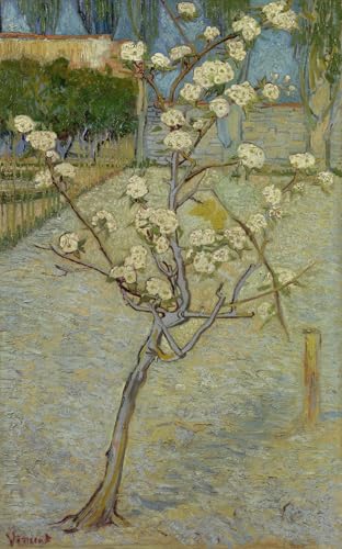 GYTRI CGFHJ Van Gogh Póster e impresiones Cuadro de arte de pared retro《Peral en flor》Pintura en lienzo de árbol de plantas para decoración de salón 50x70cm sin marco