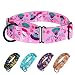CollarDirect Martingale Collars for Dogs Heavy Duty Floral Pattern Female Safety Nylon Training Wide Collar Flower Design Large Medium (L, Neck Size 15"-20", Pink)