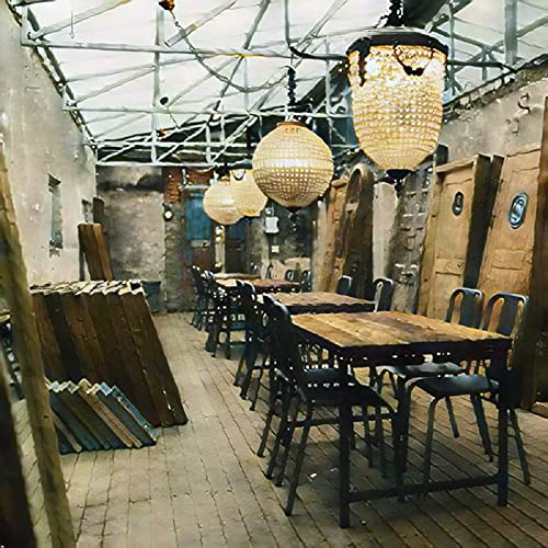 List of Top Ten Best Gage Balls [Top Picks 2023 Reviews]