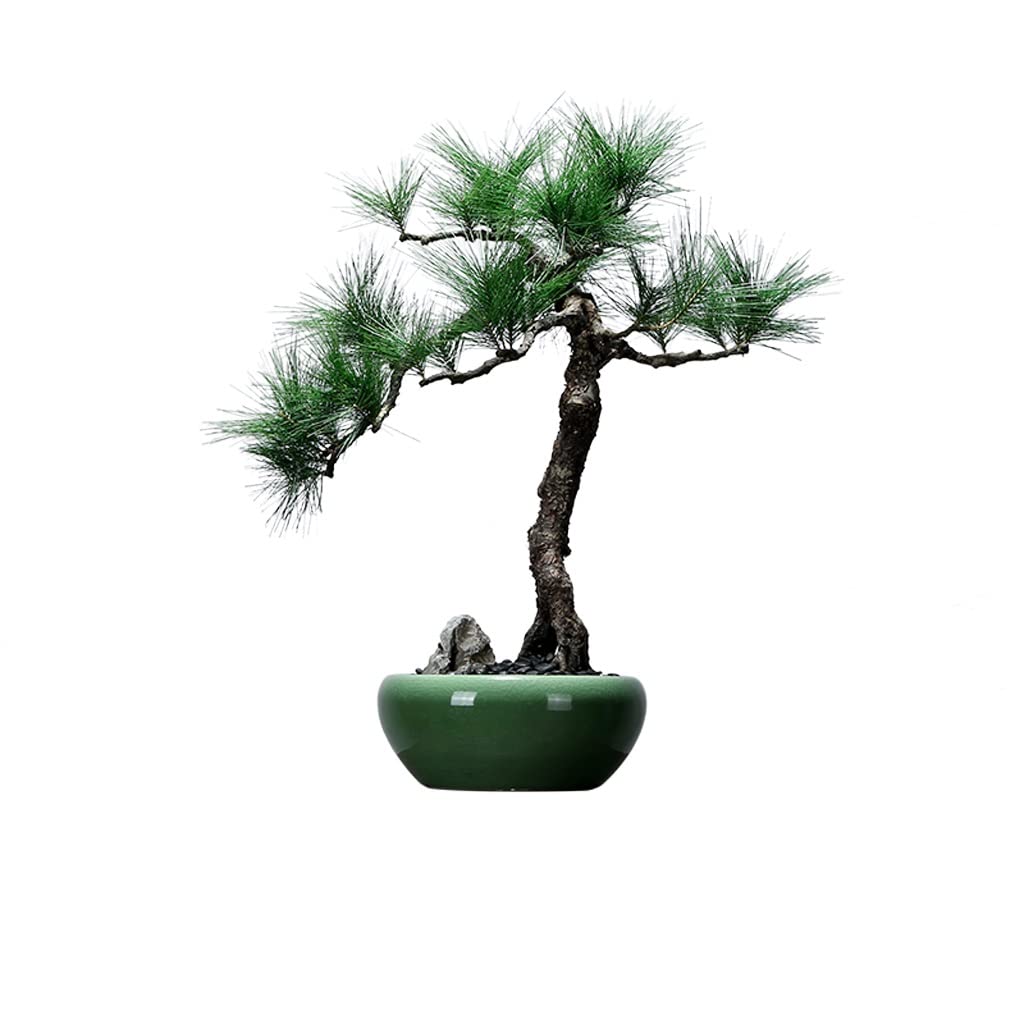 SWENEEN Home Fake Plants Artificial Potted Plants Ceramic Potted Desktop Decoration Ornaments Suitable For Living Room Study Room Tea Room Artificial Bonsai Decoration,