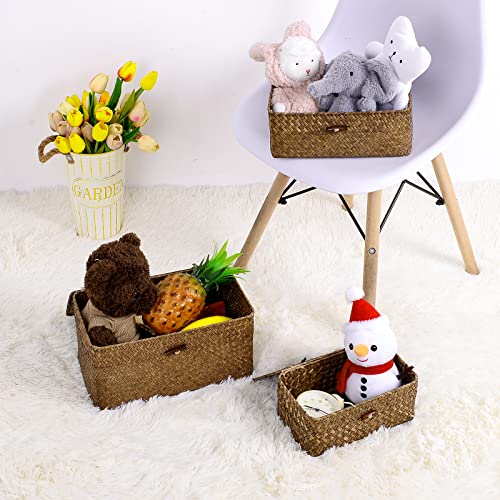 Decorative Storage Basket With Lid Set Of 3,Woven Seagrass Storage Bins For Shelves For Organizing, Rectangular Baskets For Decoration, Picnic, Groceries And Toy Storage #TOP4