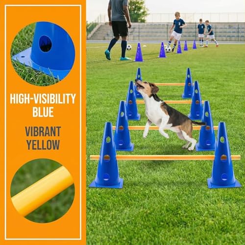 Équipement d'agilité pliable pour l'endurance et la coordination des chiens