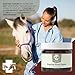 Vet Grade Horse Wellness Paste for Skin Anomalies | 2oz All-Natural Formula | Equine & Livestock Care