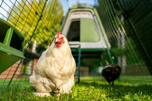 Omlet Portable Chicken Coop Go Up