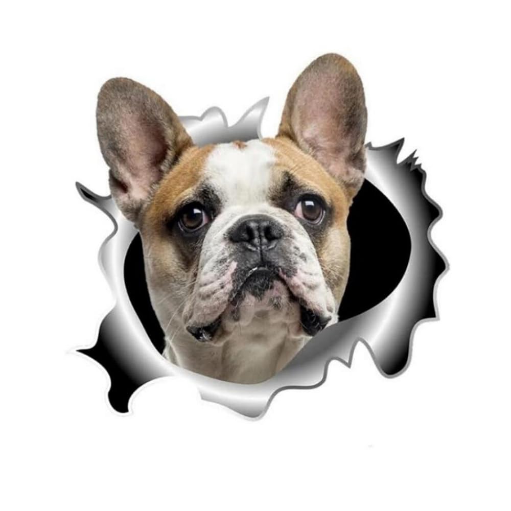 Französische Bulldogge Aufkleber, 3D Zerrissener Effekt, Was