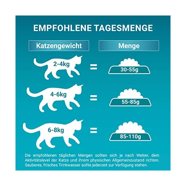 PURINA ONE BIFENSIS Sensitive Katzenfutter trocken, reich an Truthahn, 6er Pack (6 x 750g) – Bild 5